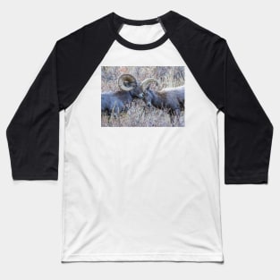 Bighorn Sheep Baseball T-Shirt